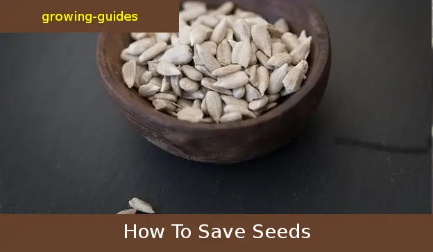 how to save seed