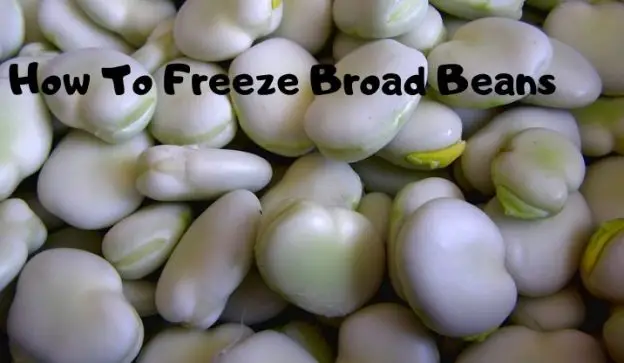 How To Freeze Broad Beans