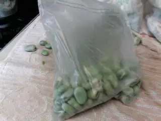 How to freeze Broad Beans Freezer bag
