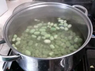how to freeze broad beans boiling