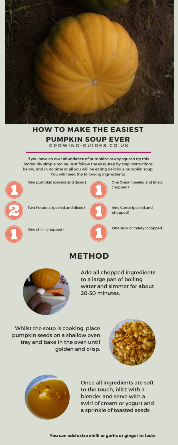 the easiest pumpkin soup recipe ever