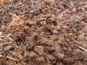 the best way to improve soil