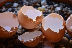 Egg shell hack
