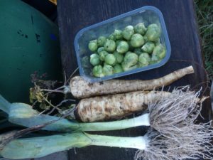 Leeks, Parsnips and Sprouts fresh from the plot.