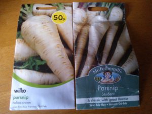 how to grow parsnips from seeds