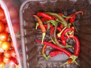 the 5 easiest vegetables to grow in containers,chillies