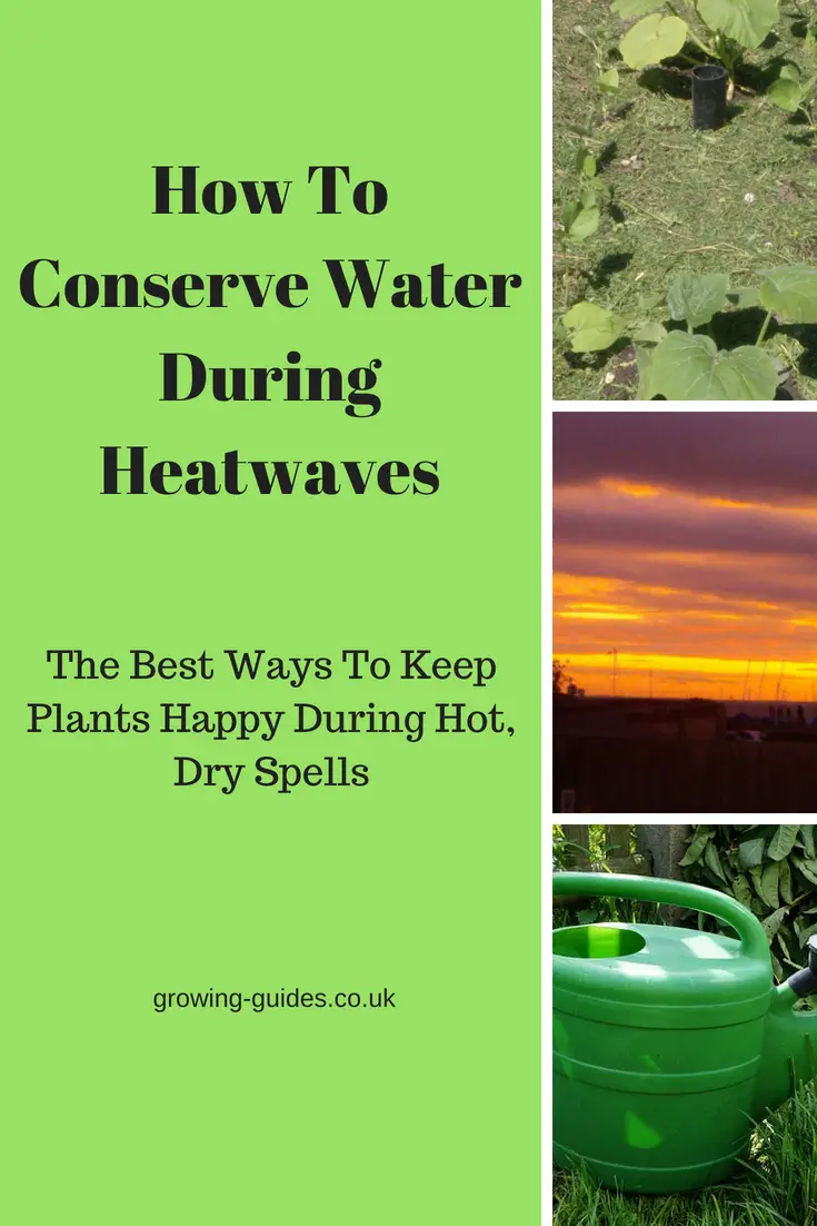 How To Conserve Water During Heatwaves Growing Guides