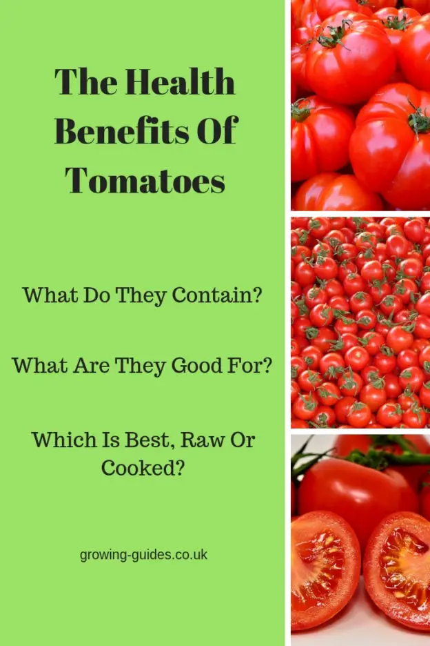 The Health Benefits Of Tomatoes (2)