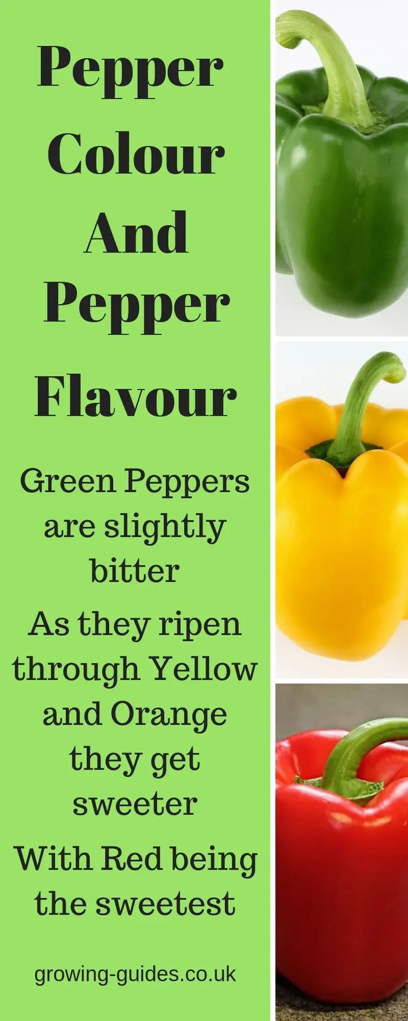what difference does the colour of bell peppers make