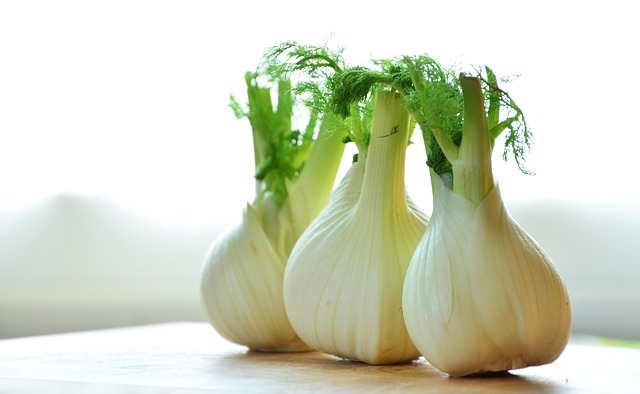 Fennel As Companion Plants