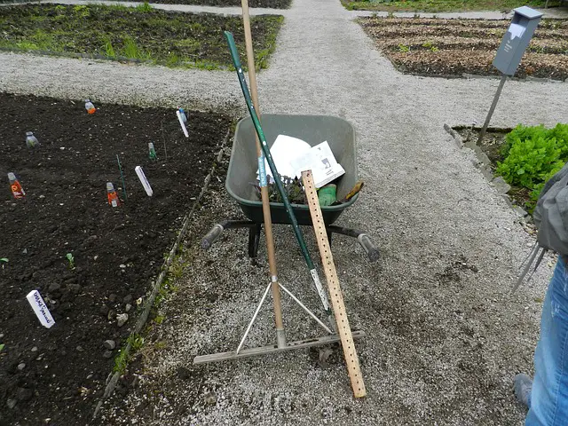 Extra Useful Equipment For The Allotment