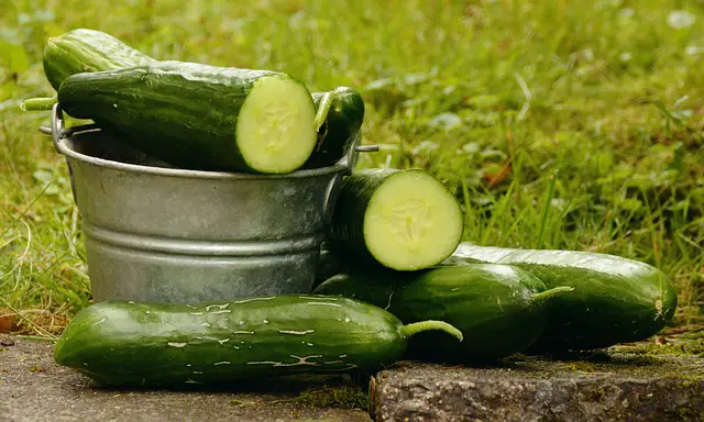 Cucumbers and Radishes
