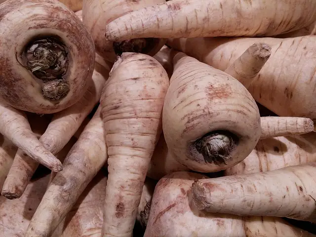 Parsnips and Radishes