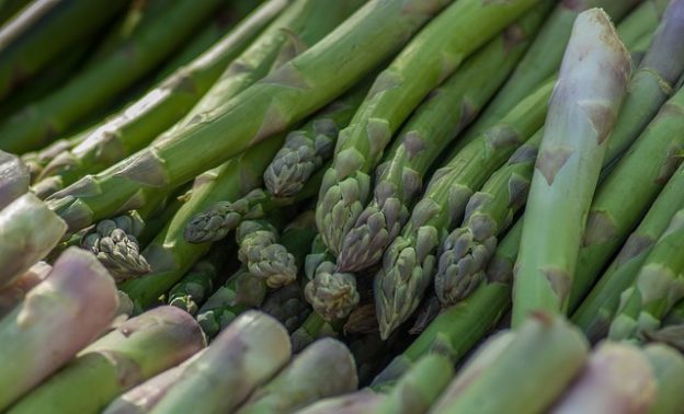 Crop Rotation After Garlic - Growing Guides