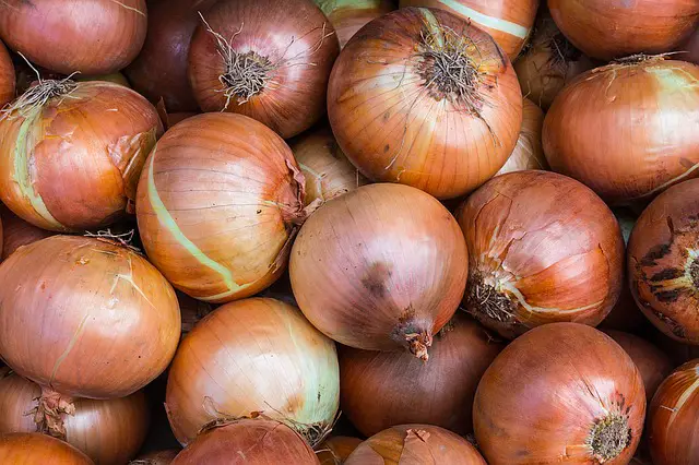 What Not to Plant After Onions