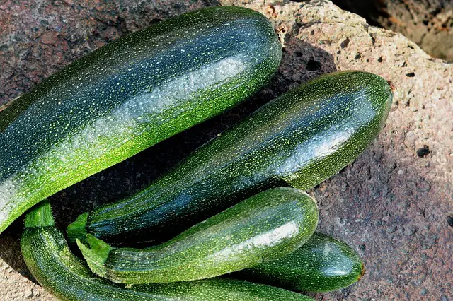 Zucchini (courgettes) and Watermelons
watermelon companion planting