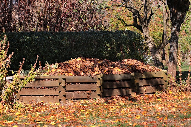 4 benefits of elderberry trees #4 Speed Up Composting