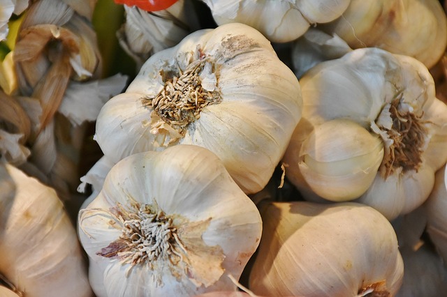 Garlic and Parsnips