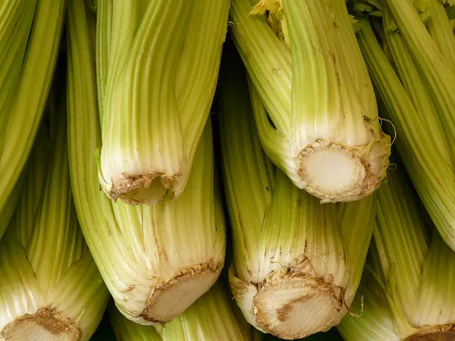 garlic and celery