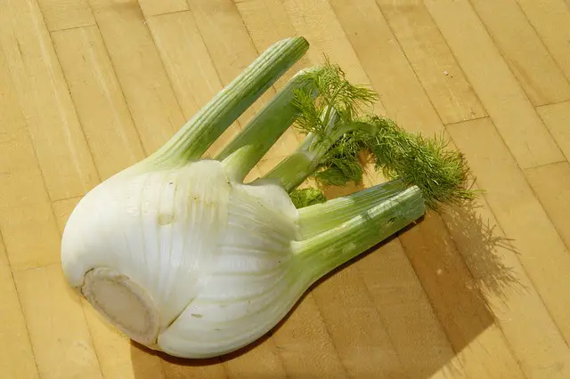 what not to grow with beetroot-fennel