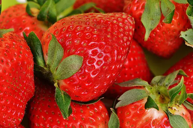 Strawberries In The Vegtrug