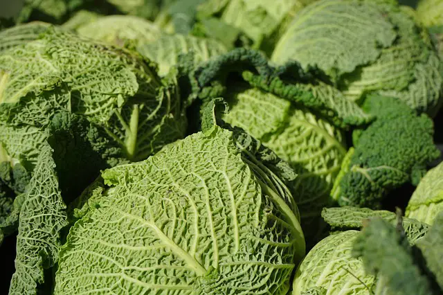 brassicas keep away from potatoes