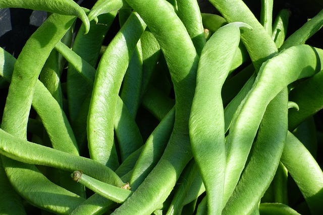 runner beans with amaranth