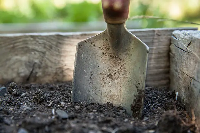 The Perfect Soil For Tomatoes