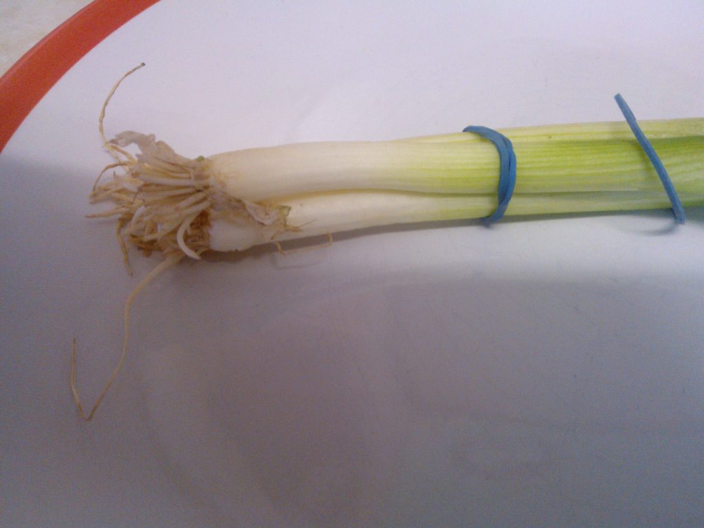 Supermarket bought green/spring onions