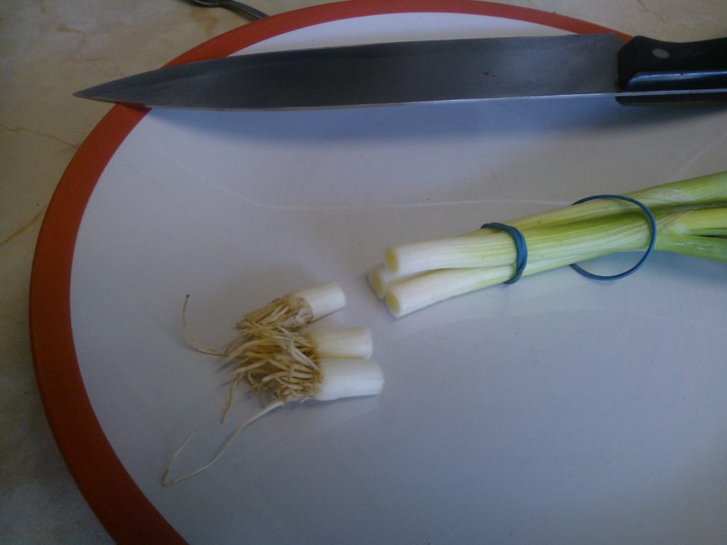 How To Grow Green Onions From Cuttings ready to plant