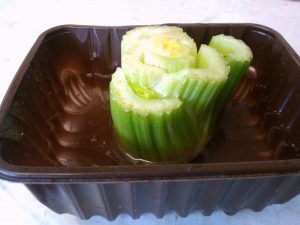 What You Need To Grow Celery From Scraps