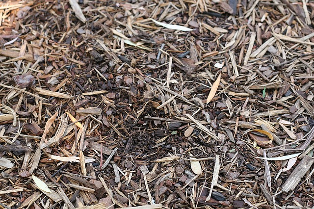 Will Mulch Help To Prevent Blossom End Rot