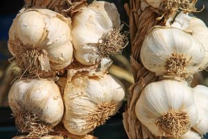 10 vegetables to grow in September-garlic
