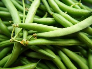 dwarf beans and swiss chard companion plants