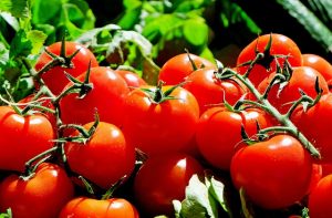 Plantas de compañía de puerros-tomates