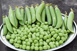  What not to grow with Neeks-peas