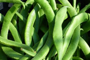 what not to grow with swiss chard-runner beans