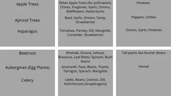 apple trees-celery companion chart