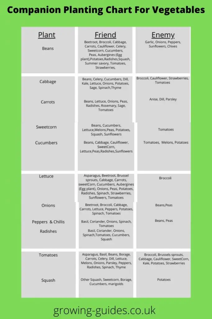 Image of Rhubarb and Spinach companion planting chart