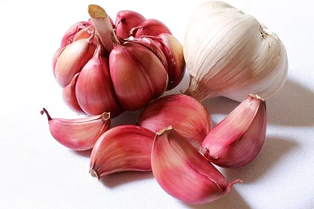 How to grow garlic from garlic