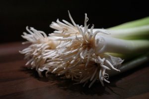 How To Grow Spring Onions Indoors