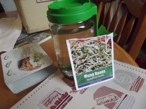 How to grow vegetables indoors using kits Sprouting Jars