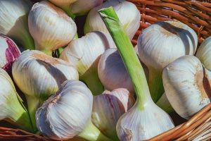 Garlic Is A Great Brassica Companion Plant