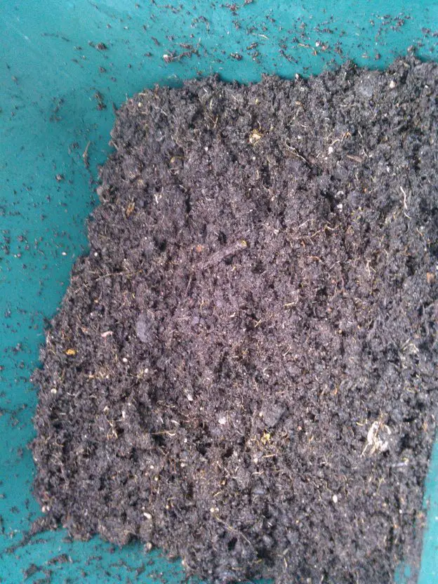 How To Make A Worm Farm Growing Guides Growing Guides