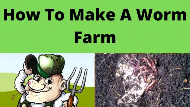 how to make a worm farm
